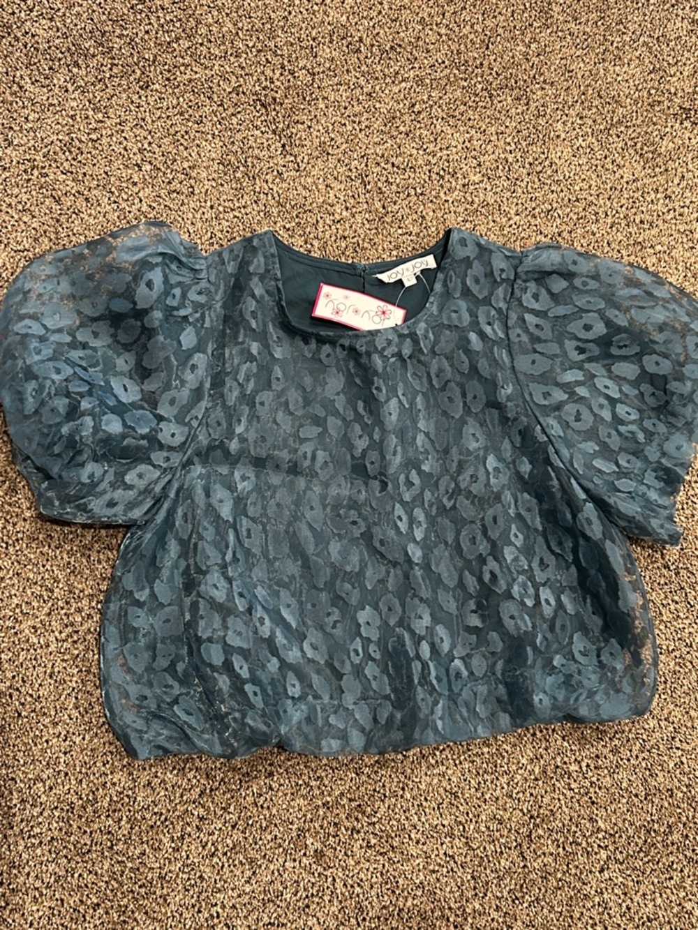 Joy Joy Teal-Blue Puff Sleeve Burnout Top